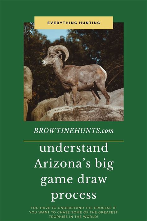 Understanding The Arizona Big Game Draw .